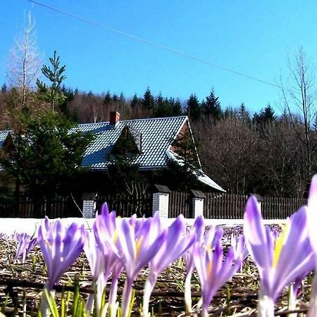 Goralska Czarcia Chata Pod Jalowcem Stryszawa Exterior foto