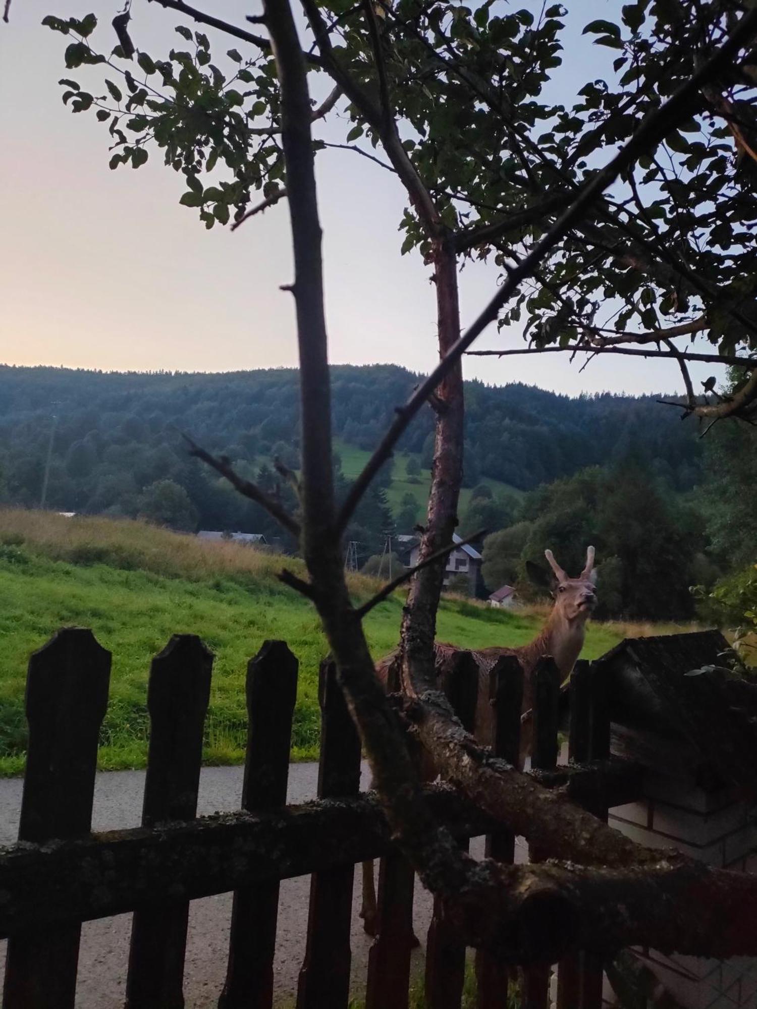 Goralska Czarcia Chata Pod Jalowcem Stryszawa Exterior foto